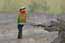 Bee-Eater bird