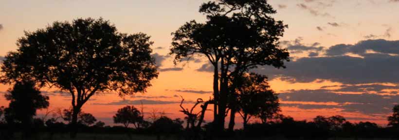 African Sunset